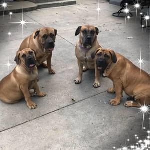 Meet your Posher, Luann